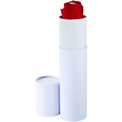 Image of Cylindric gift box for foldable umbrella
