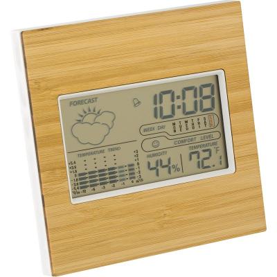 Image of Bamboo weather station